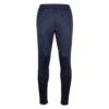 The Indian MaharadjaPoly Terry Trainingsbroek Heren Navy Blue