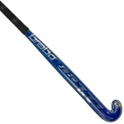 Hockey Serie Winkel 12 Brabo Elite 2 WTB TeXtreme Classic Curve Hockeystick Blue Silver
